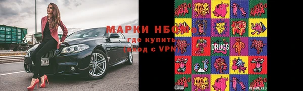 СК Алексин