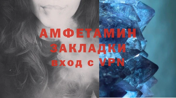 СК Алексин