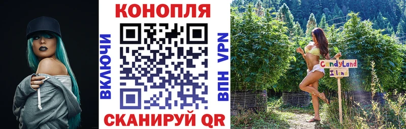 Канабис OG Kush  Нолинск 